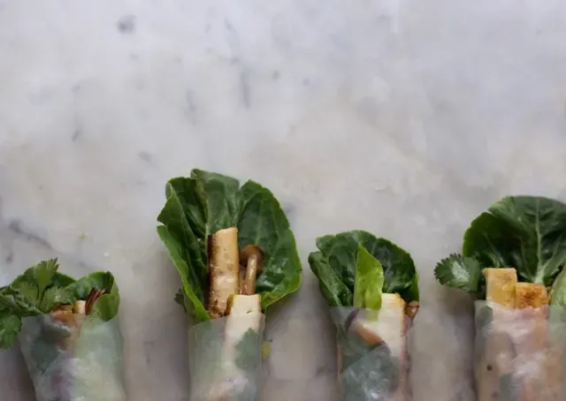 Wintery Spring Rolls