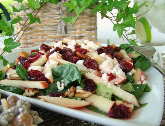 Cranberry Apple-Spinach Salad Cranberry Apple-Spinach Salad